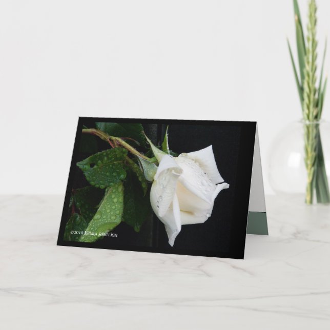 Ein Bogen zum Morgen Karte (Vorderseite)