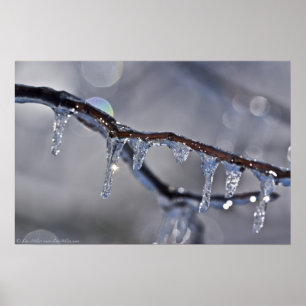 Ein Bokeh Eisknacker-Poster Poster