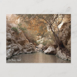 Ein Bokek, Israel. Postkarte