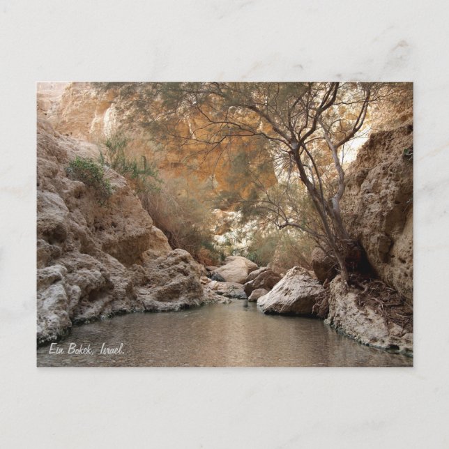Ein Bokek, Israel. Postkarte (Vorderseite)