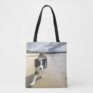 Ein Border-Collie-Hund, der auf den Strand läuft