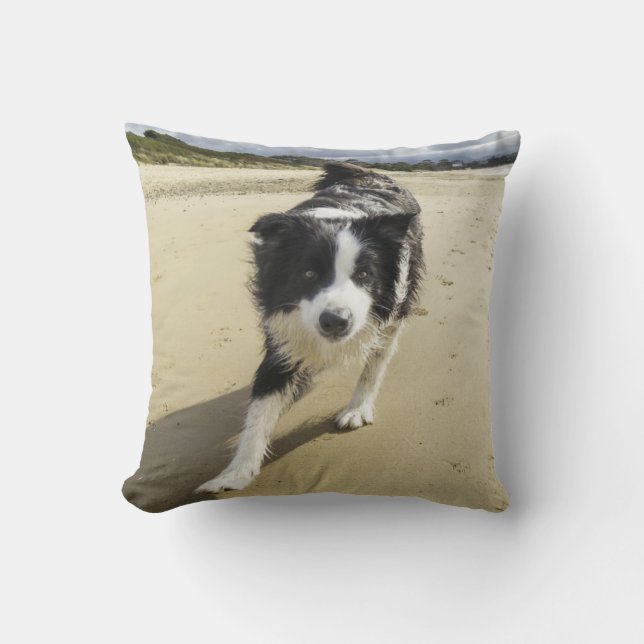 Ein Border-Collie-Hund, der auf den Strand läuft Kissen (Vorderseite)