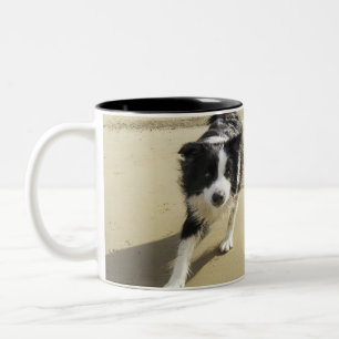 Ein Border-Collie-Hund, der auf den Strand läuft Zweifarbige Tasse