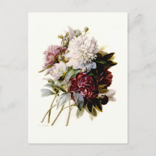Ein Bouquet von Peonies von Pierre-Joseph Redouté Postkarte