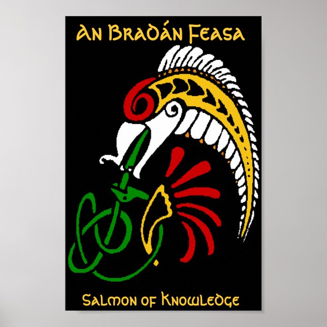 Ein BradÃ - Feasa - Der Lachs des Wissens Poster (Vorne)
