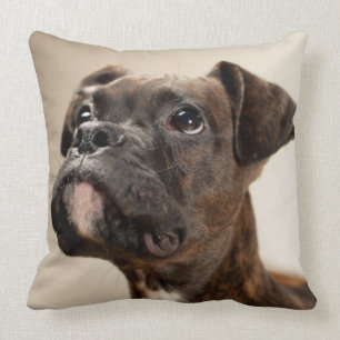 Ein Brindle Boxerwelpe, der oben neugierig schaut Kissen
