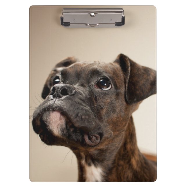 Ein Brindle Boxerwelpe, der oben neugierig schaut Klemmbrett (Vorderseite)