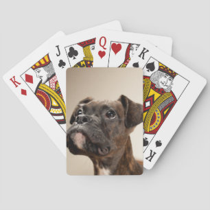 Ein Brindle Boxerwelpe, der oben neugierig schaut Spielkarten