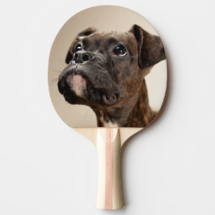 Ein Brindle Boxerwelpe, der oben neugierig schaut Tischtennis Schläger