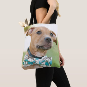 Ein Brown-Welpe trägt eine bunte Bogen-Krawatte