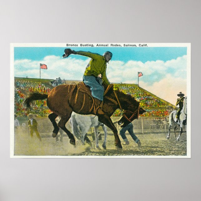 Ein Bucking-Bronco im Salinas Rodeo Poster (Vorne)
