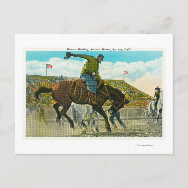 Ein Bucking-Bronco im Salinas Rodeo Postkarte (Vorderseite)