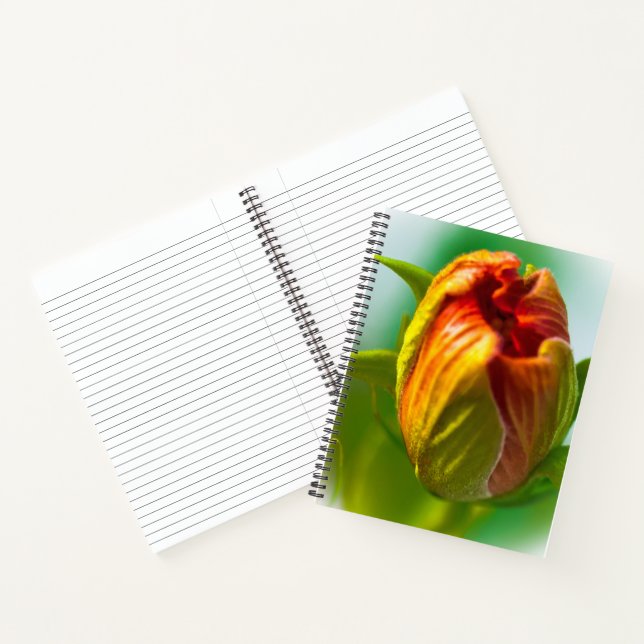 Ein Bud Notizbuch (Innenseite)