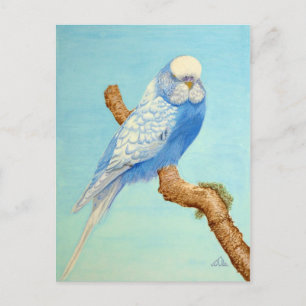 Ein Budgie auf einem Zweig Postkarte