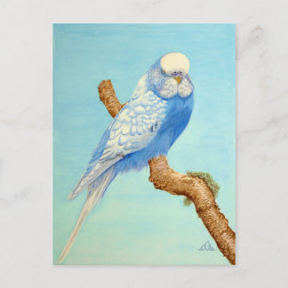 Ein Budgie auf einem Zweig Postkarte