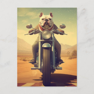 Ein Bulldogge fährt ein Motorrad in der Wüste Postkarte