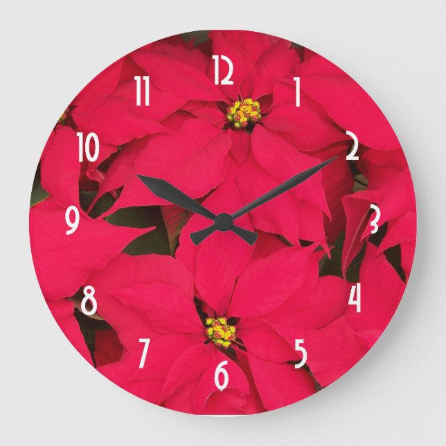 Ein Bündel helle rote Weihnachtspoinsettias Große Wanduhr (Vorderseite)