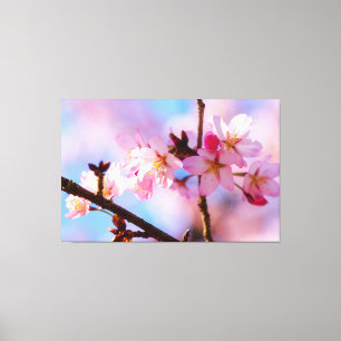 Ein Bündel Kirschblüten im Schatten eines Baumes Leinwanddruck