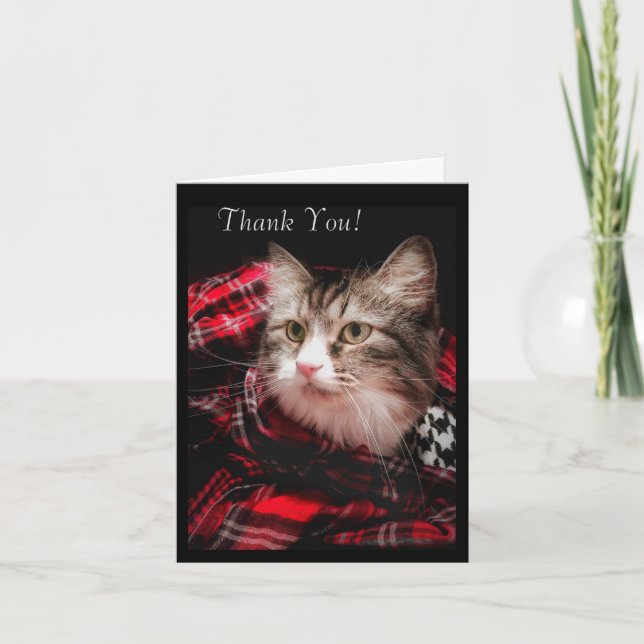 Ein Cat Lover dankt Ihnen für Ihre Note Card Dankeskarte (Vorderseite)