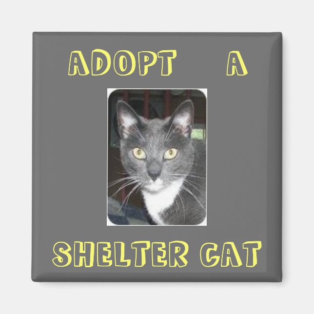 Ein Cat Magnet adoptiert (Vorne)
