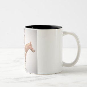 Ein Cheyenne Brave, 1901 (Farbelitho) Zweifarbige Tasse