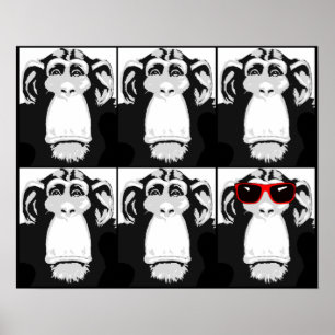 Ein Cooler Affe Lustiges Poster Schild Druck