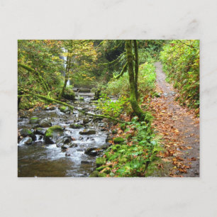Ein Cooler Bach Postkarte