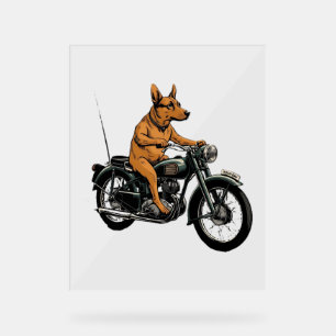 Ein cooler Hund auf einem Motorrad Acrylschild