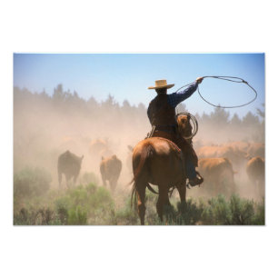 Ein Cowboy bei der Arbeit an der Herde auf einer R Fotodruck