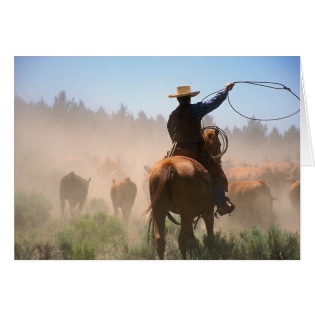 Ein Cowboy, der die Herde an einem Rind arbeitet (Vorderseite (Horizontal))