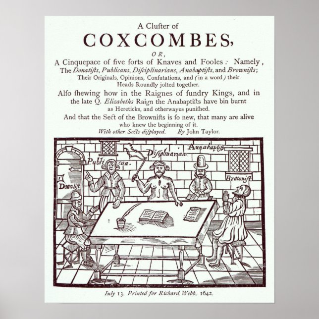 Ein Coxcombes-Cluster von John Taylor Poster (Vorne)