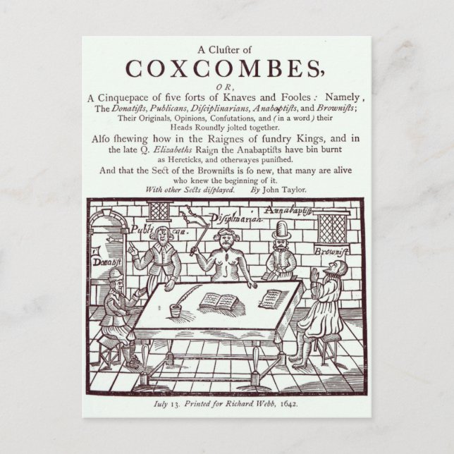 Ein Coxcombes-Cluster von John Taylor Postkarte (Vorderseite)