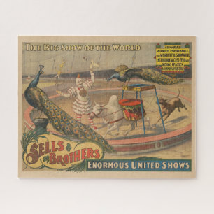 Ein Darstellender Zebu und Pfau mit Clowntrainer Puzzle