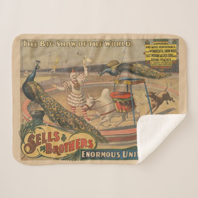 Ein Darstellender Zebu und Pfau mit Clowntrainer Sherpadecke (Vorderseite (Horizontal))