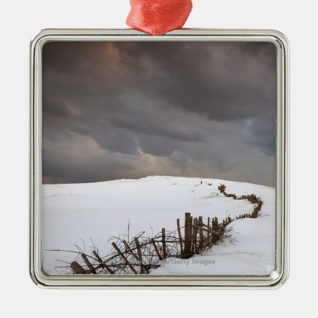 Ein defekter Zaun entlang einer Schnee Silbernes Ornament (Vorne)