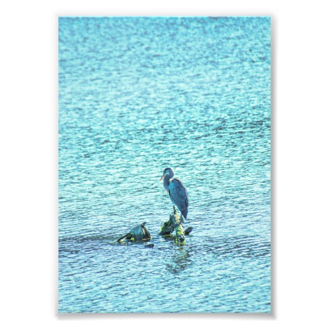 Ein Denker Fotodruck (Vorne)