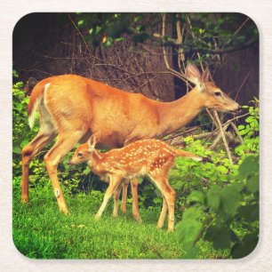 Ein Doh und ihre Fawn Rechteckiger Pappuntersetzer