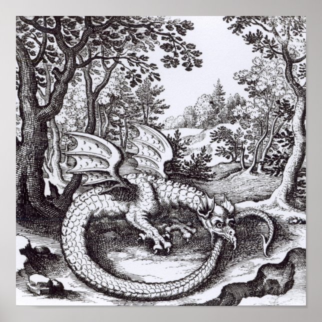 Ein Drache im Wald Poster (Vorne)