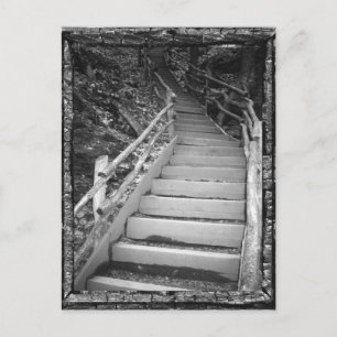 Ein dunkler Weg Postkarte