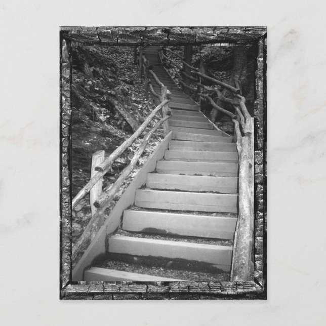 Ein dunkler Weg Postkarte (Vorderseite)