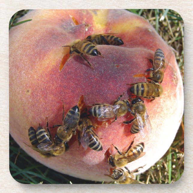 Ein Dutzend Bienen und ein Pfirsich Untersetzer (Vorderseite)