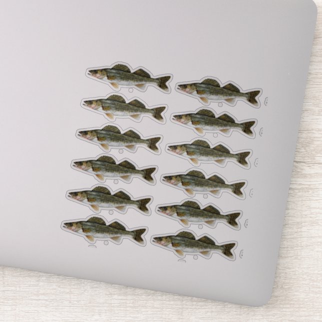 Ein Dutzend Walleye Pike Fisch Aufkleber (Detail)
