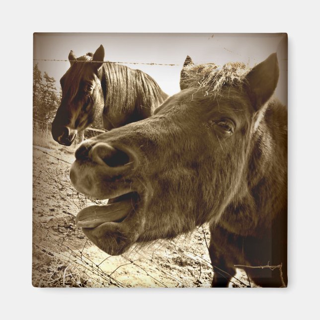 Ein echter Freund Magnet (Vorne)