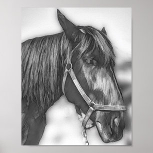 Ein echter Reiz Poster