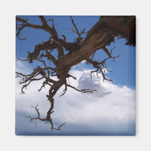 Ein echtes Cliffhanger-Magnet Magnet