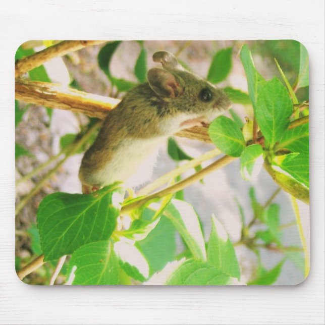 EIN ECHTES MOUSEPAD! MOUSEPAD (Vorne)