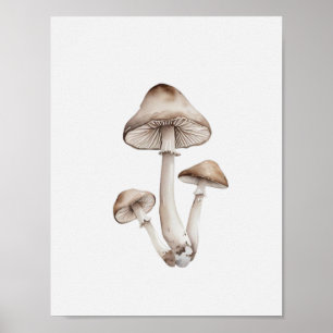 Ein einfacher Pilz Poster