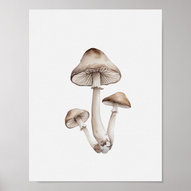 Ein einfacher Pilz Poster (Vorne)