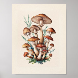 Ein einfacher Pilz Poster