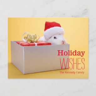 Ein eingewickeltes Geschenk und ein Kaninchen mit Feiertagspostkarte